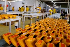 Trabalho dos presos da Colônia Agrícola de Palhoça contribui para o programa Estrada Boa