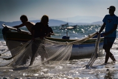 Litoral catarinense recebe liberação de 100 toneladas a mais na cota de pesca artesanal da...