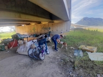 Mobilização tenta ajudar família que vive sob viaduto com nove cães