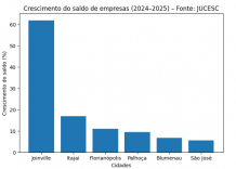 Palhoça é a sexta cidade que mais abriu empresas em Santa Catarina em 2025