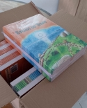 Livro infantojuvenil sobre belezas de Palhoça ganha versão com acessibilidade