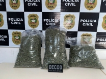 Polícia Civil apreende cerca de quatro quilos de skunk em Palhoça