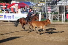 Ginetes internacionais participam das provas campeiras do 17° Rodeio Internacional